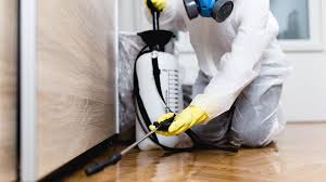 Best Fumigation Services  in Quincy, MI